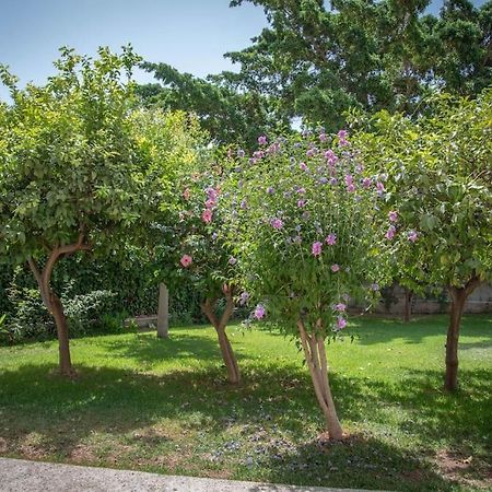 Piso Con Jardin Apartment Malaga Exterior photo
